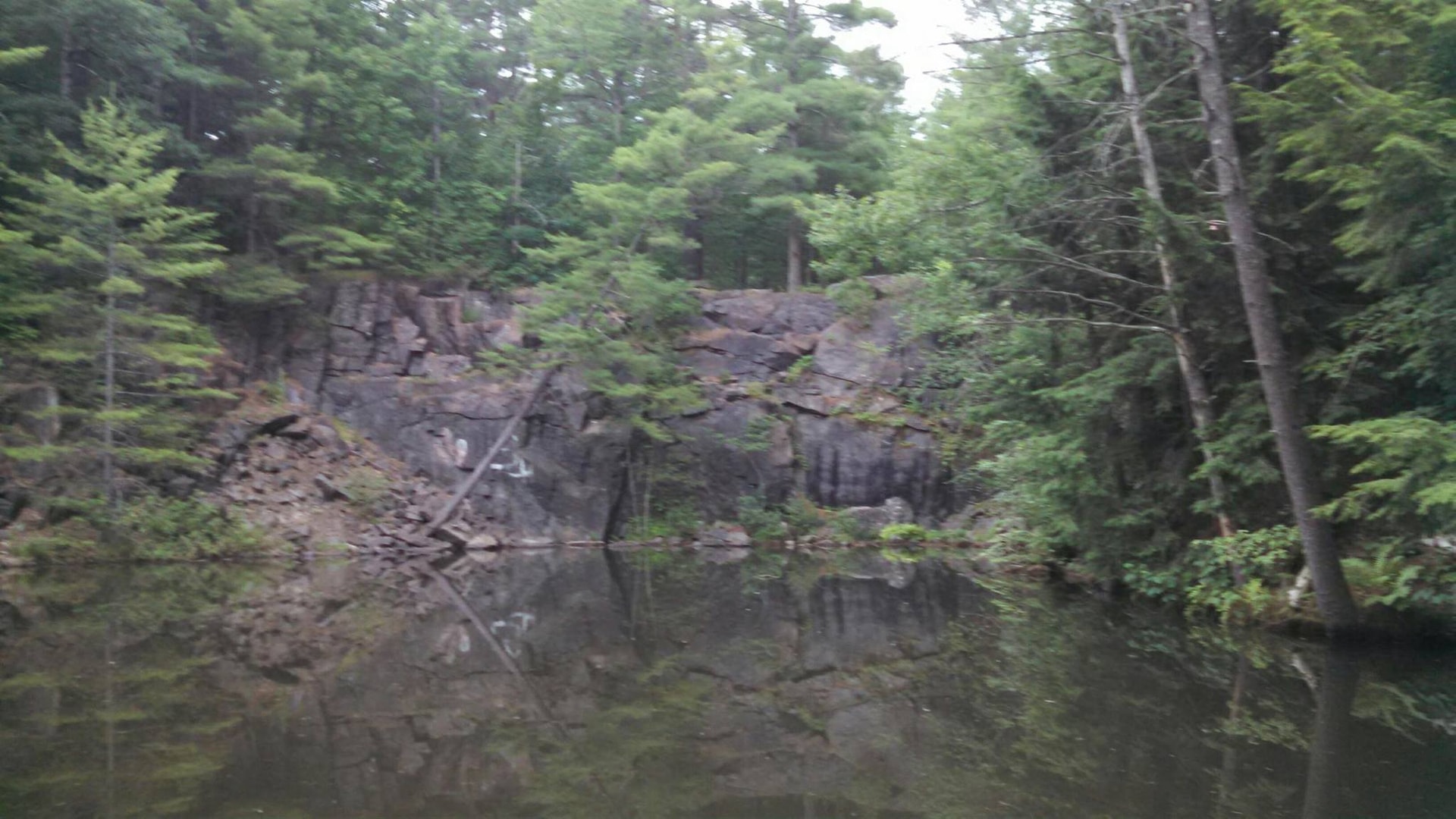 Rocky forest pond with tall trees